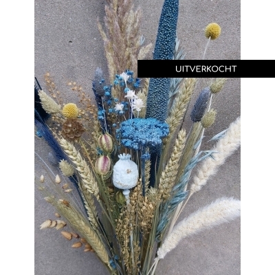 Droogboeket Blauwe Dag Droogboeket Blauwe Dag