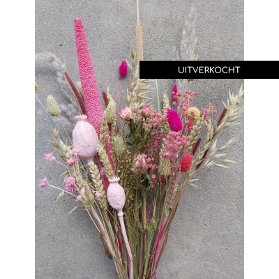 Droogboeket Roze Wolk Droogboeket Roze Wolk