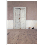 LW Bunny rabbits and pink wall