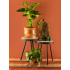 Gusta Terracotta plantenpot